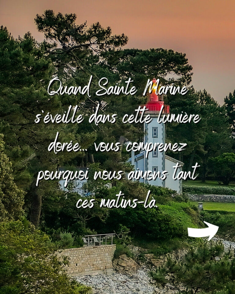 LYC-M-6wD74vUoC3aa4YmOv7lmn2ob_X6ouqLGFmevA