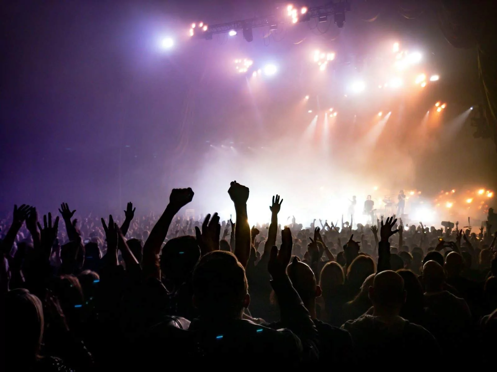 Photo by ActionVance crowd facing lighted stage